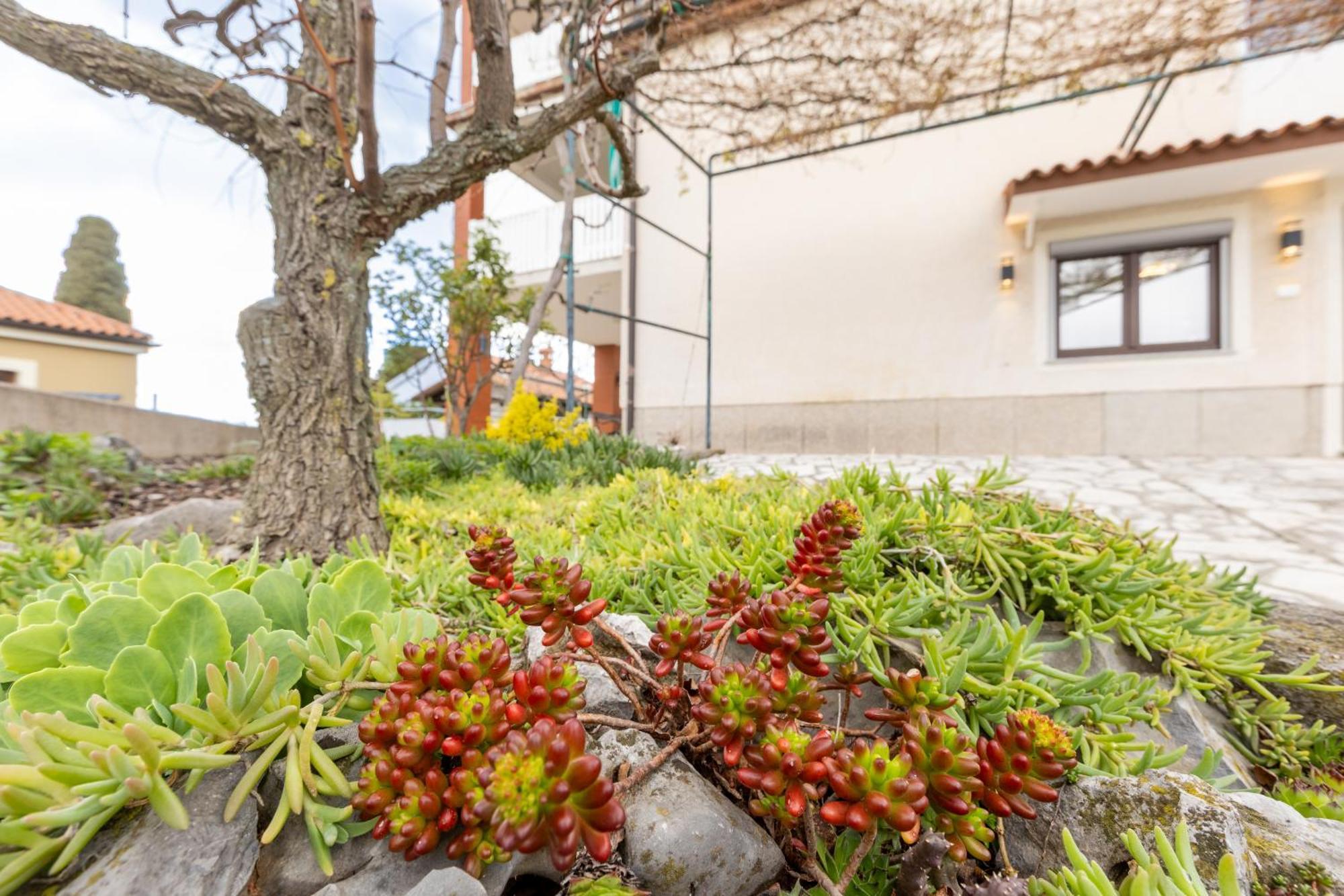בפורטורוז Adriatic Bay Apartments מראה חיצוני תמונה